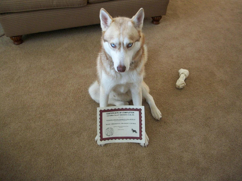 Argrum - class graduate