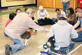 Catawba Valley Obedience Club Training, Hickory NC